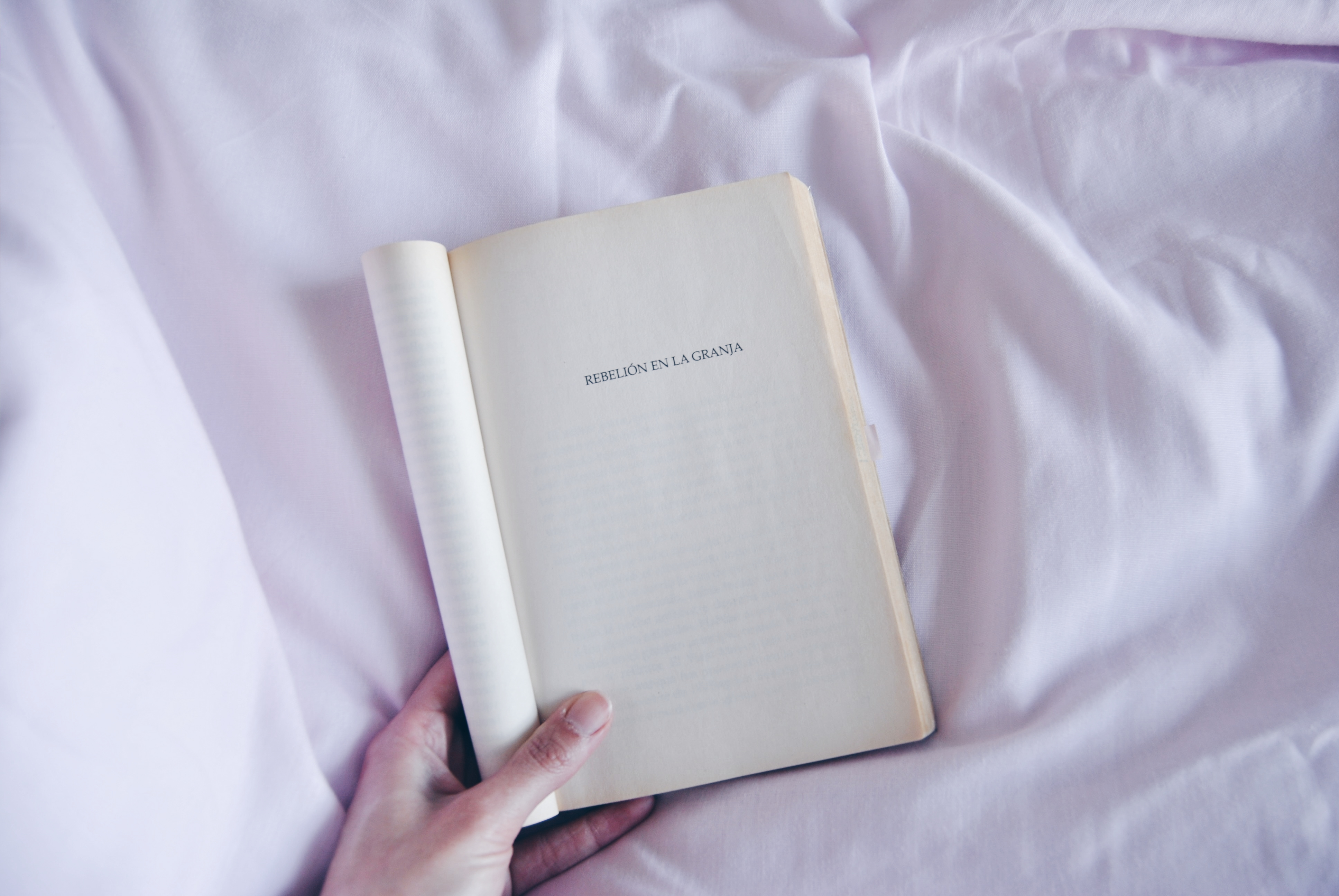 Processed with VSCO with hb1 preset