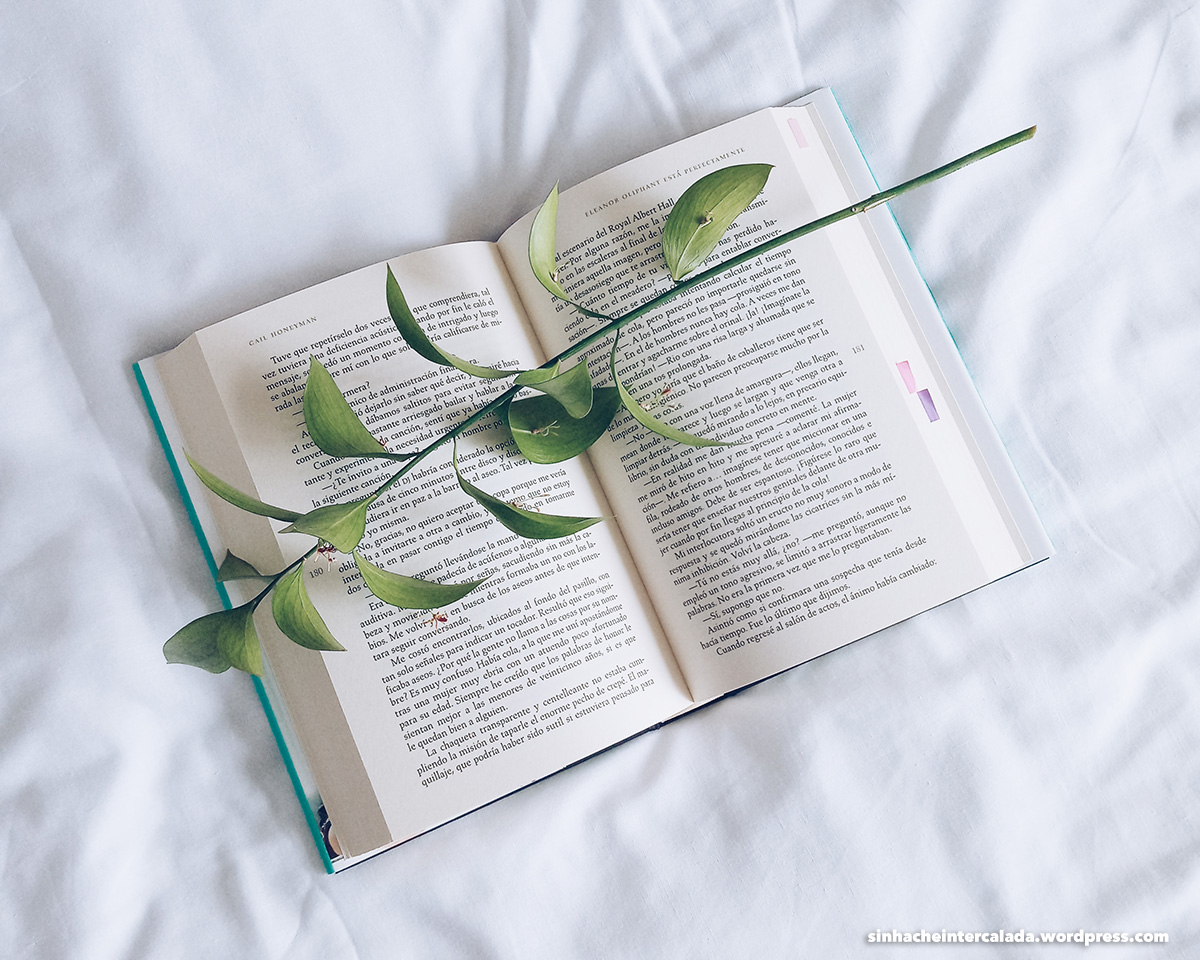 Processed with VSCO with a5 preset