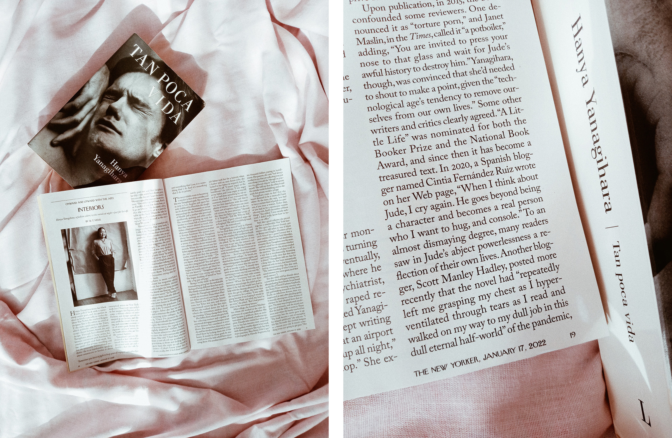 El periodista D. T. Max menciona mi reseña sobre Tan poca vida en su artículo para la revista The New Yorker. 