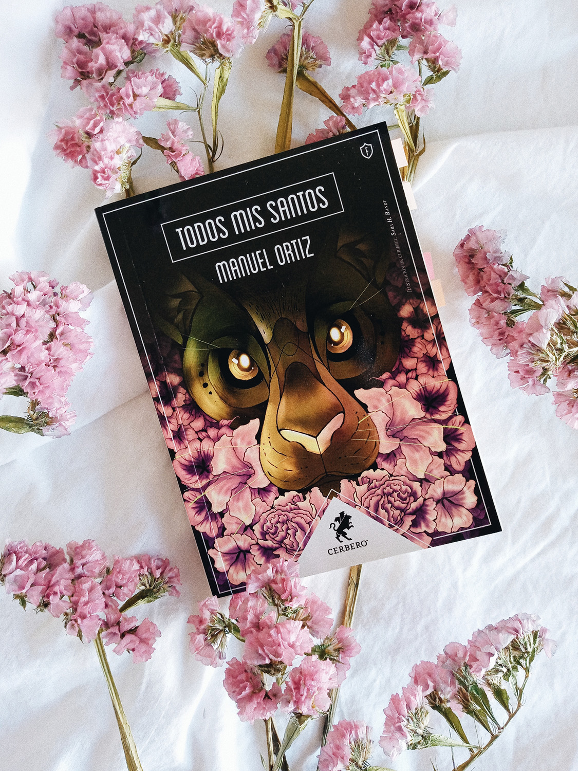 Portada de «Todos mis santos», de Manuel Ortiz